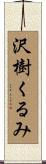 沢樹くるみ Scroll