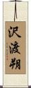 沢渡朔 Scroll