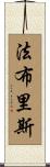Fabrice Scroll