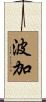 波加 Scroll