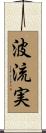 波流実 Scroll