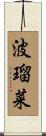 波瑠菜 Scroll