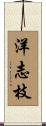 洋志枝 Scroll
