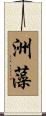 洲藻 Scroll