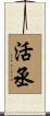 活丞 Scroll