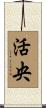 活央 Scroll