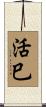 活巳 Scroll