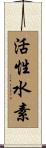 活性水素 Scroll