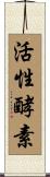 活性酵素 Scroll