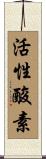 活性酸素 Scroll