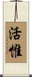 活惟 Scroll