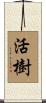 活樹 Scroll