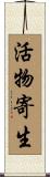 活物寄生 Scroll