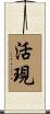 活現 Scroll