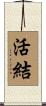 活結 Scroll