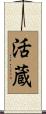 活蔵 Scroll