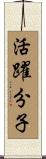 活躍分子 Scroll