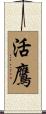 活鷹 Scroll