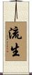 流生 Scroll