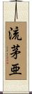 流茅亜 Scroll