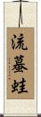 流蟇蛙 Scroll