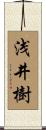 浅井樹 Scroll