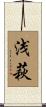 浅萩 Scroll