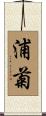 浦菊 Scroll