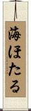 海ほたる Scroll