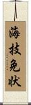 海技免状 Scroll