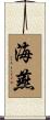 海燕 Scroll