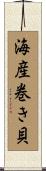 海産巻き貝 Scroll