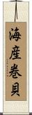 海産巻貝 Scroll