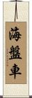 海盤車 Scroll