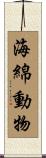 海綿動物 Scroll