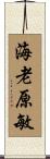 海老原敏 Scroll