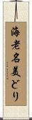 海老名美どり Scroll