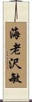 海老沢敏 Scroll