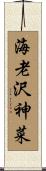 海老沢神菜 Scroll
