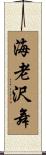 海老沢舞 Scroll