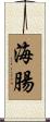 海腸 Scroll