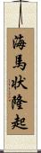 海馬状隆起 Scroll