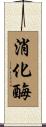 消化酶 Scroll