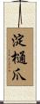 淀樋爪 Scroll