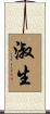 淑生 Scroll
