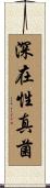 深在性真菌 Scroll