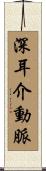 深耳介動脈 Scroll