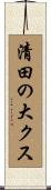 清田の大クス Scroll