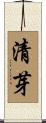清芽 Scroll