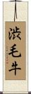 渋毛牛 Scroll